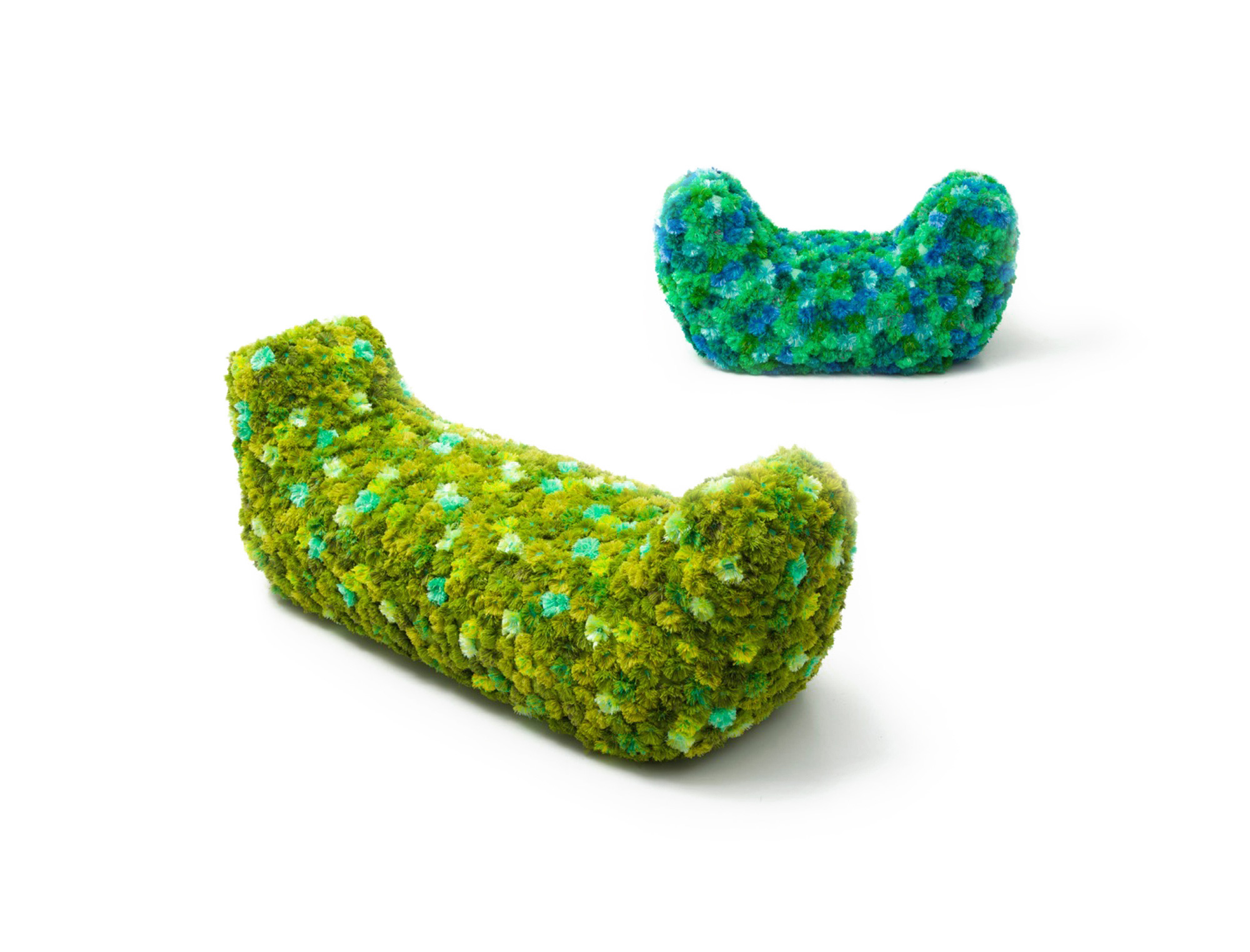 Campana_Insight_bruco_