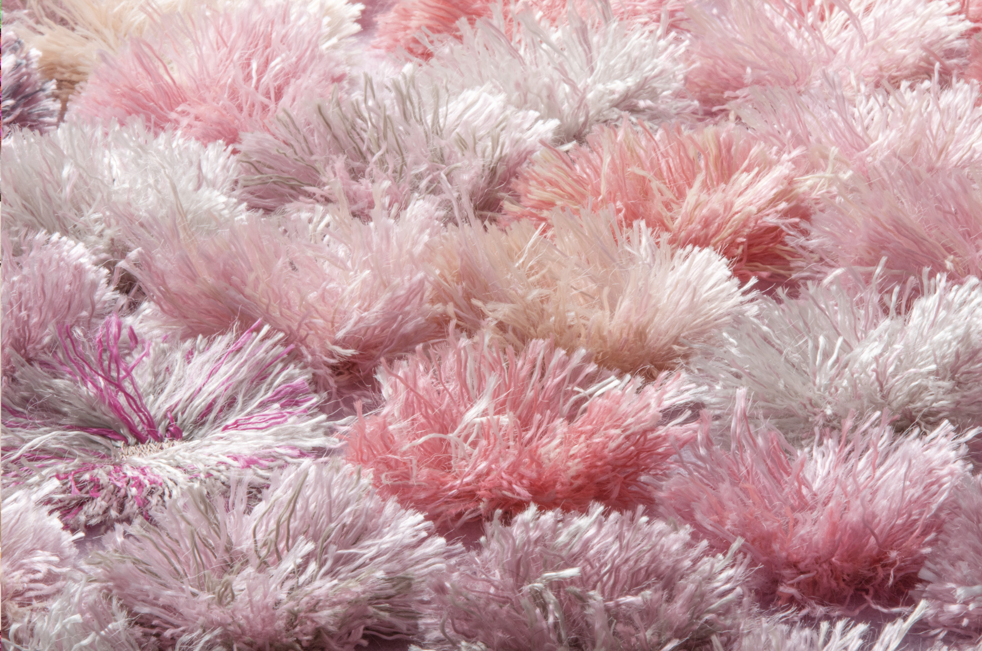 Campana_Insight_fiori