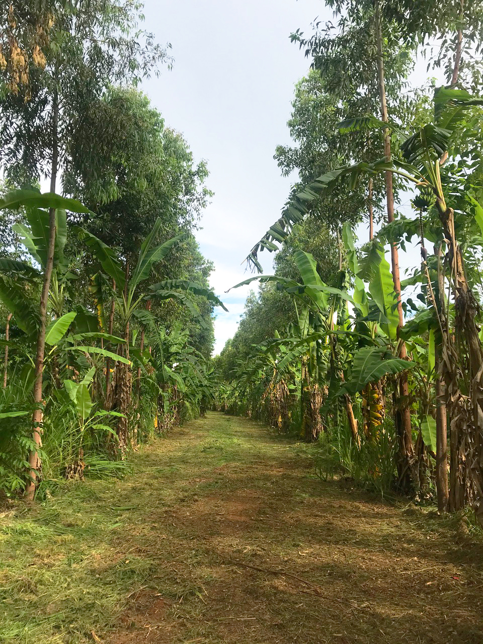 Foto-06-01-2021-16-39-37