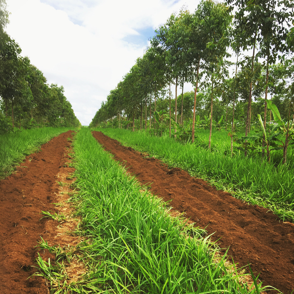 Foto-23-12-2020-15-14-37