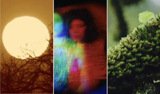 giallo-rosso-verde_oasi-768x451 giallo-rosso-verde_oasi-768x451